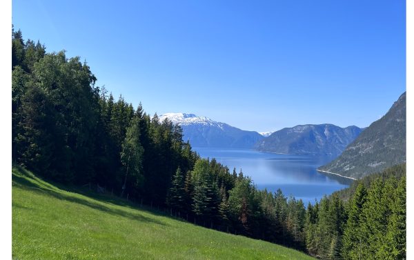 The view from our family's place in Norway!