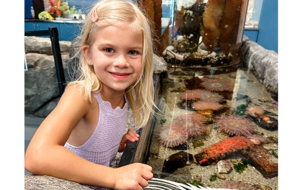 We love all the zoos and aquariums our area has to offer.
