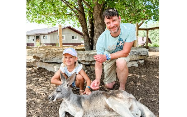 Meeting a kangaroo