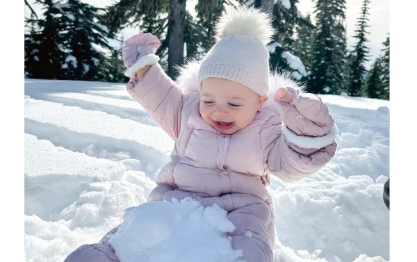 A fan of the snow